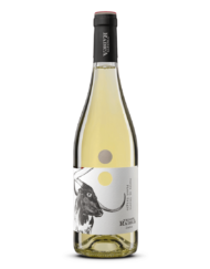 Pinot Grigio IGT Terre di Chieti 2022